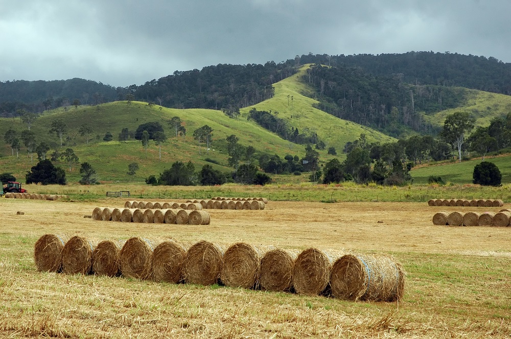 Restore nature and enhance value for landholders